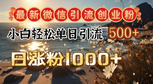 最新微信引流创业粉，小白单日轻松引流500+，日涨粉1000+-轻资本网