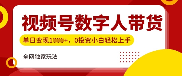 最新视频号数学人带货实操玩法，新手单日轻松多张，全程干货-轻资本网