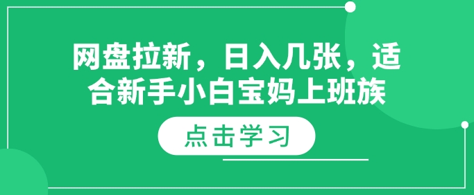 网盘拉新，日入几张，适合新手小白宝妈上班族-轻资本网