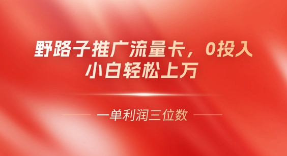 0门槛推广流量卡,一单收益上百,0投入,小白月入过W
