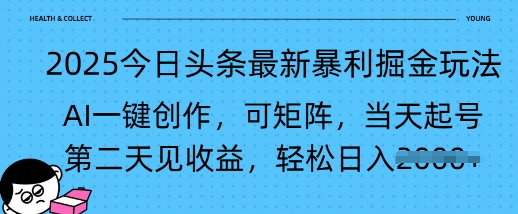2025今日头条最新暴利掘金玩法，AI一键创作，可矩阵，当天起号，第二天见收益轻松日入多张-轻资本网