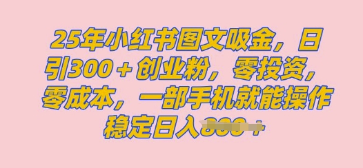 2025年小红书创业粉图文自热教程，日+300创业粉，单日变现多张，无脑操作，宝妈，小白抓紧冲-轻资本网
