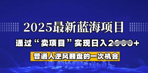 2025年首次揭秘如何通过“网创项目”日入多张【揭秘】-轻资本网