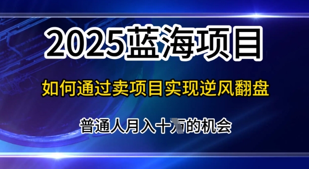 2025蓝海项目，普通人如何通过卖项目实现逆风翻盘，月入10个【揭秘】-轻资本网