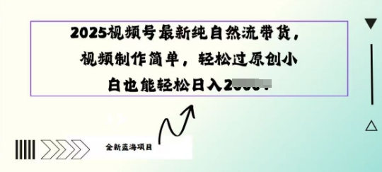 2025视频号最新纯自然流带货, 视频制作简单,轻松过原创小 白也能轻松操作-轻资本网