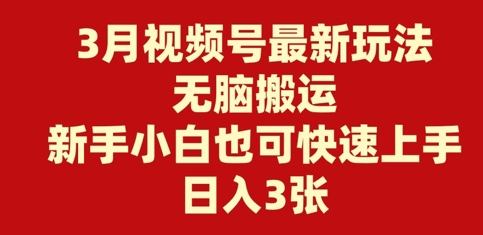 3月视频号最新玩法，无脑搬运，新手小白也可快速上手，日入3张-轻资本网