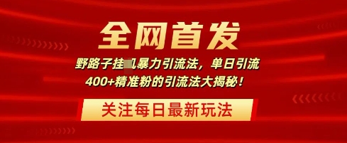 全网首发，野路子暴力引流法，单日引流400+精准粉的引流法大揭秘-轻资本网