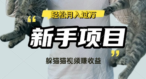 利用老外躲猫猫大赛视频，挣分成收益，操作简单，新手小白，轻松月入过W-轻资本网