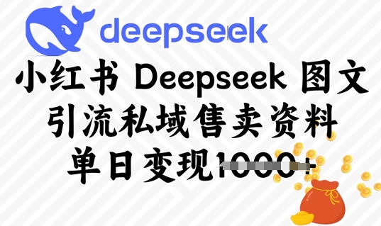 小红书Deepseek 图文引流私域售卖资料，单日变现多张-轻资本网