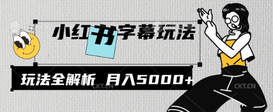 小红书字幕玩法，玩法全解析，月入2000+-轻资本网