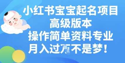 小红书宝宝起名项目高级版本，操作简单，资料专业，月入过W-轻资本网