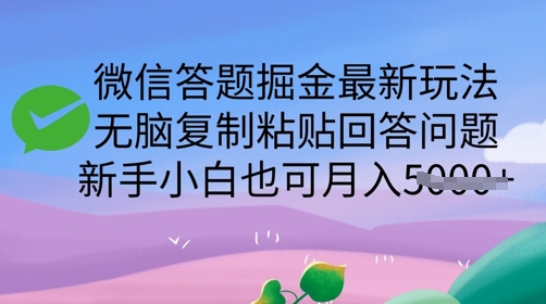 微信答题掘金最新玩法，无脑复制粘贴回答问题，新手小白也可月入5k-轻资本网