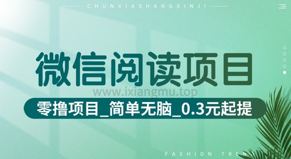 微信阅读项目_零撸项目+简单无脑+0.3元起提(六大平台合集汇总)-轻资本网