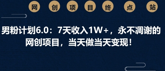 男粉计划6.0：7天收入1W+，永不凋谢的网创项目，当天做当天变现-轻资本网