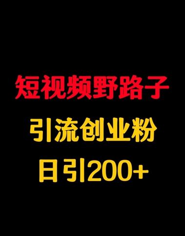 短视频野路子引流创业粉，日引200+-轻资本网