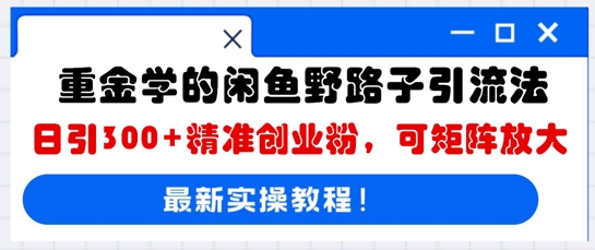 重金学的闲鱼野路子引流法，日引300+精准创业粉，可矩阵放大-轻资本网