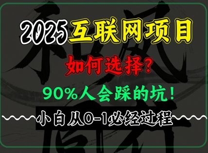 2025年互联网项目搞钱方法论，全是干货，肺腑之言，新手从0-1必经过程，边看边实操-轻资本网