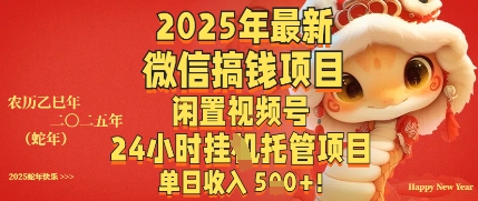 2025年最新微信搞钱项目，闲置视频号年24小时挂G托管项目，单日收入多张-轻资本网