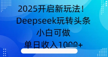 2025开启新玩法！Deepseek玩转头条，小白可做，单日收入几张-轻资本网