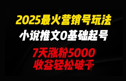 2025最火营销号玩法：小说推文0基础起号，7天涨粉5000，收益轻松破k-轻资本网