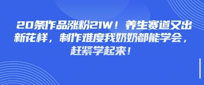 20条作品涨粉21W！养生赛道又出新花样，制作难度我奶奶都能学会，赶紧学起来-轻资本网