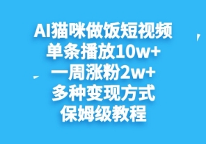AI猫咪做饭短视频，单条播放10w+，一周涨分2w+，多种变现方式，保姆级教程-轻资本网