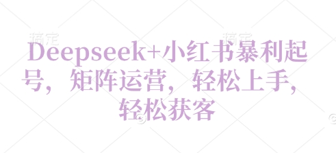 Deepseek+小红书暴利起号，矩阵运营，轻松上手，轻松获客-轻资本网