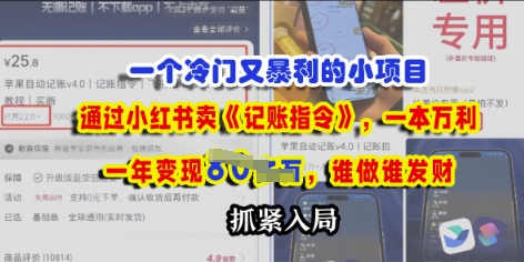 一个冷门需求，通过小红书卖《记账指令》，一本万利，谁做谁发，抓紧入局-轻资本网