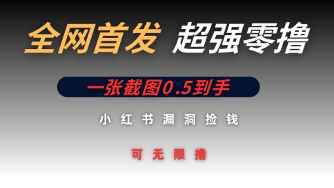全网首发无限零撸捡钱项目，小红书一张截图0.5元可无限零撸-轻资本网