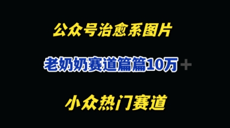 公众号老奶奶治愈系流量主，篇篇10W+-轻资本网