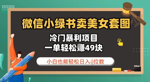 微信小绿书卖美女套图,冷门暴利项目,一单轻松挣49块,小白也能轻松日入3位数
