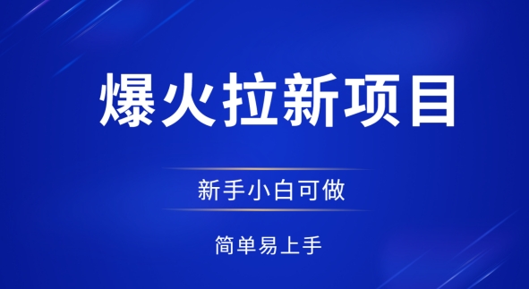 爆火拉新项目，有手就行，小白轻松入门，日入1张拉新整套流程-轻资本网