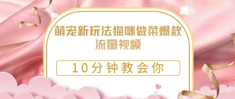 萌宠新玩法猫咪做菜爆款流量视频，10分钟教会你-轻资本网