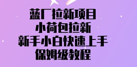 蓝厂拉新项目，小荷包拉新，新手小白快速上手，保姆级教程-轻资本网