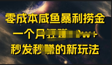 零成本咸鱼暴利捞金，一个月收益过w+，秒发新玩法-轻资本网