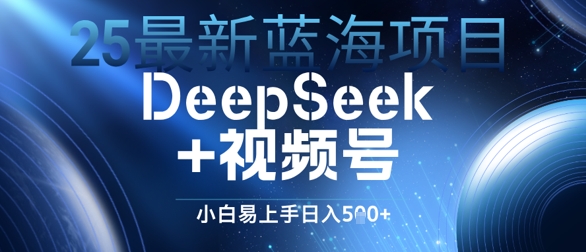 25最新蓝海项目DeepSeek+视频号，小白易上手日入几张-轻资本网