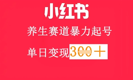 小红书养生赛道，暴力起号，轻松日入3张+-轻资本网