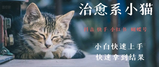 拆解，疯狂火爆！抖音，小红书，视频号小猫治愈的视频，轻松制作+快速拿到结果-轻资本网