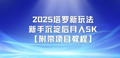 2025塔罗新玩法，新手沉淀后月入5K【附带项目教程】-轻资本网
