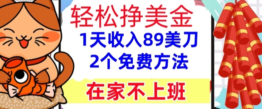 在家不上班，轻松挣美金， 1天收入89美刀，2个免费方法，懒人捡钱-轻资本网