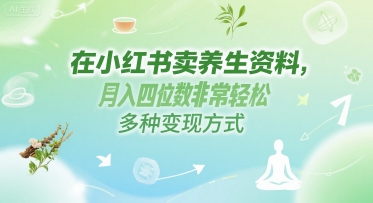 在小红书卖养生资料，月入四位数非常轻松，多种变现方式-轻资本网