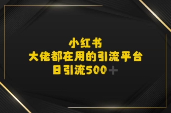 小红书,大佬都在用的大粉平台,日引流500+