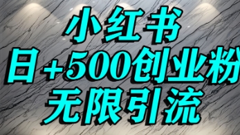 小红书无限引流创业粉，单人操作日引500+精准创业粉-轻资本网