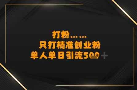 打粉只打精准创业粉，单人单日引流500+-轻资本网