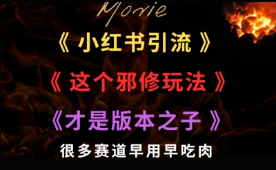 最近小红书引流这个邪修玩法才是版本之子，很多赛道早用早吃肉-轻资本网