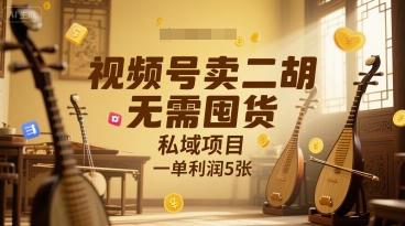 视频号卖二胡，无需囤货，私域项目，一单利润5张-轻资本网