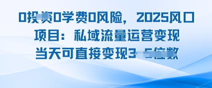 0学费0风险，2025风口项目：私域流量运营变现，当天可直接变现-轻资本网
