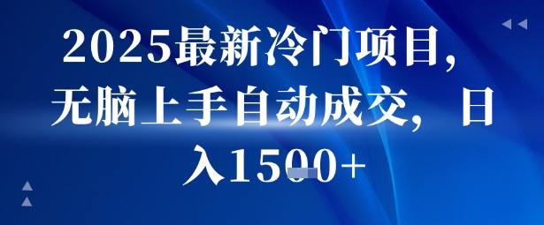 2025最新冷门项目，无脑上手自动成交，日入多张-轻资本网