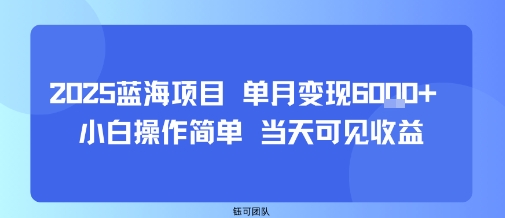 2025蓝海项目 单月变现6k+ 小白操作简单 当天可见收益-轻资本网