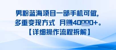 8月新男粉蓝海项目一部手机可做，多重变现方式 月入4W+【详细操作流程拆解】-轻资本网